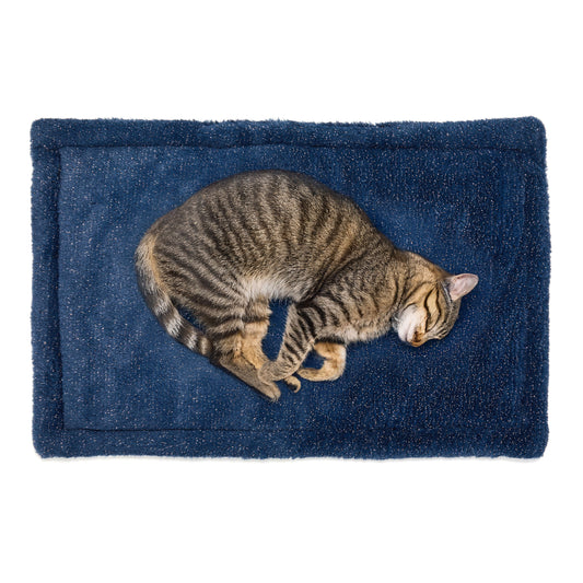 Small Self-Warming Mat - US 6119