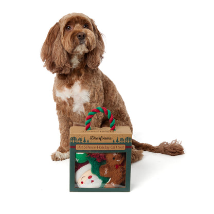 5 Piece Dog Toy Set - US 7409