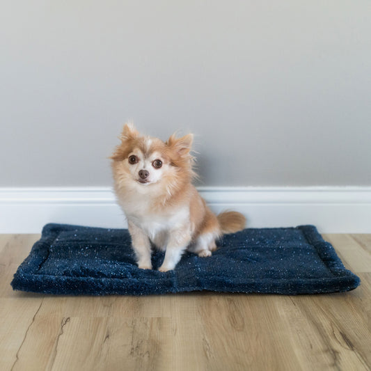 Small Self-Warming Mat - US 6119